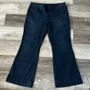 Hot in Hollywood Indigo Denim Pull-On Jeans